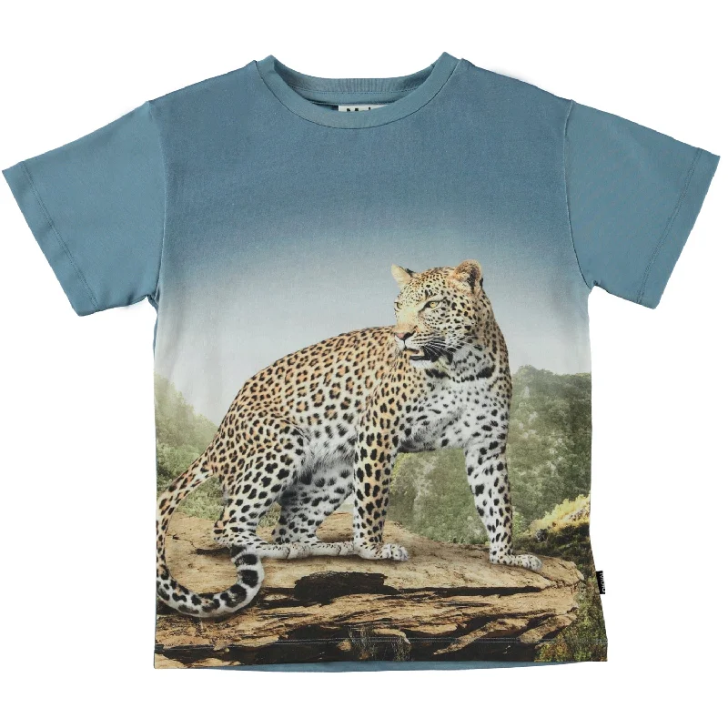 - Pregnant cat delivery room warming boxMolo Mountain Leopard Rasmus Short Sleeves Tee