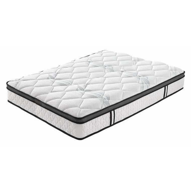 - Climbing pet constant temperature heating padDreamcom Mattress Superior, Queen