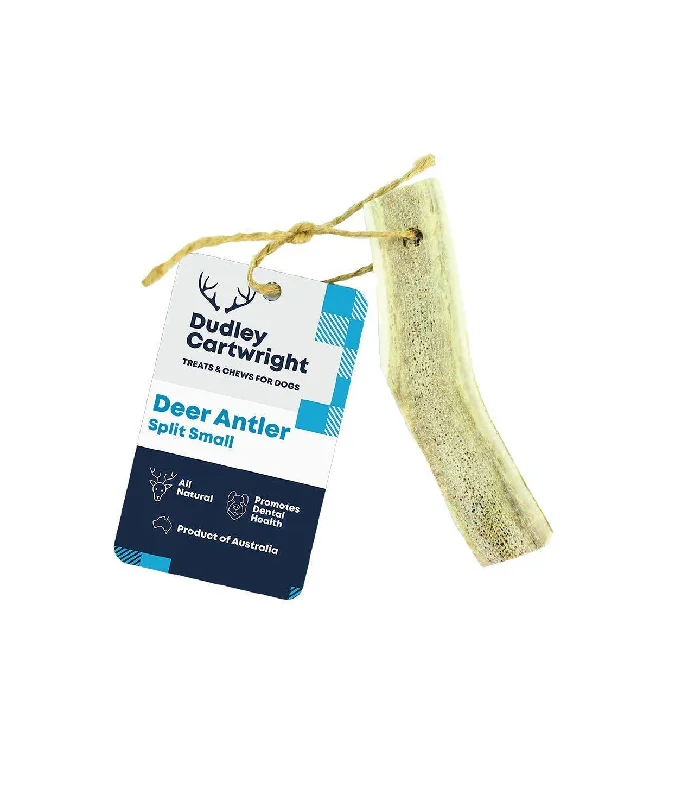 - Deodorizing cat litter tofu litterDudley Antler Split - Small