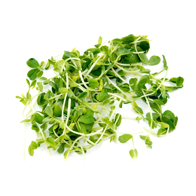 - Air box TSA certified check-inDou Miao (Peas Sprouts) (Malaysia) 200g