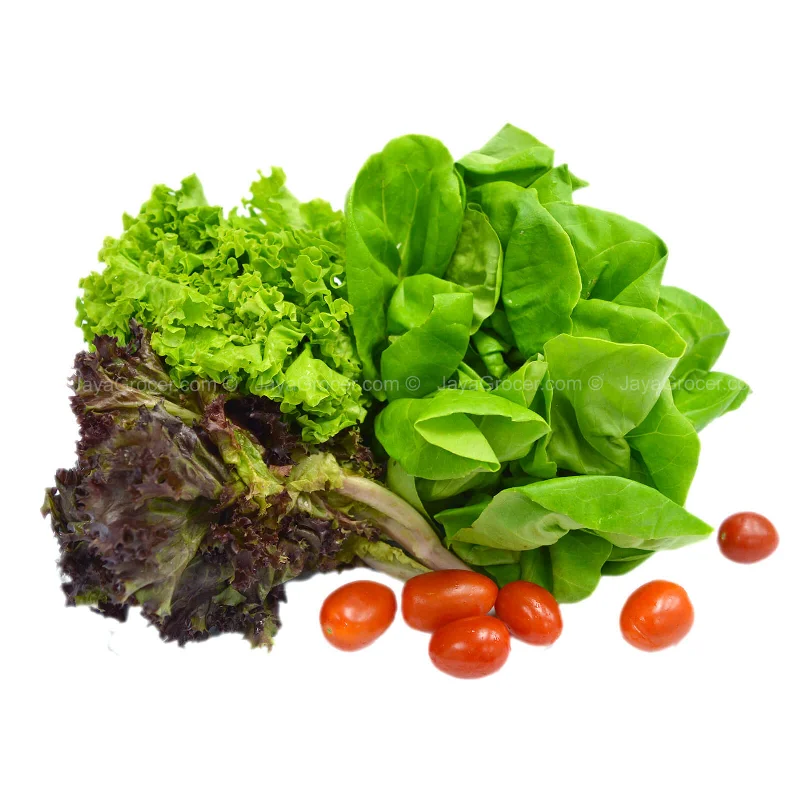 - Pet fence foldable indoorPaprika Farm Lettuce Mixed Salad (Malaysia) 230g