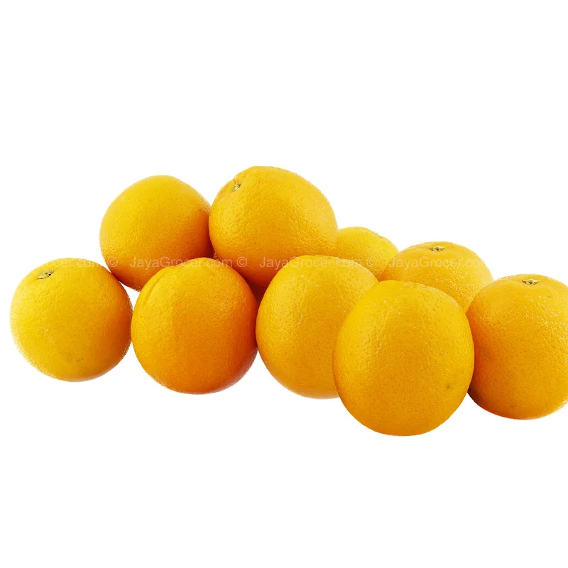 - Teething and chewing toys for puppiesValencia Orange (Egypt) 10pcs/pack