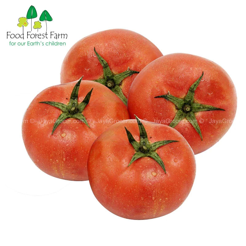 - Pet electric nail grinder silent modelFood Forest Farm Tomato (MYS) 1pack