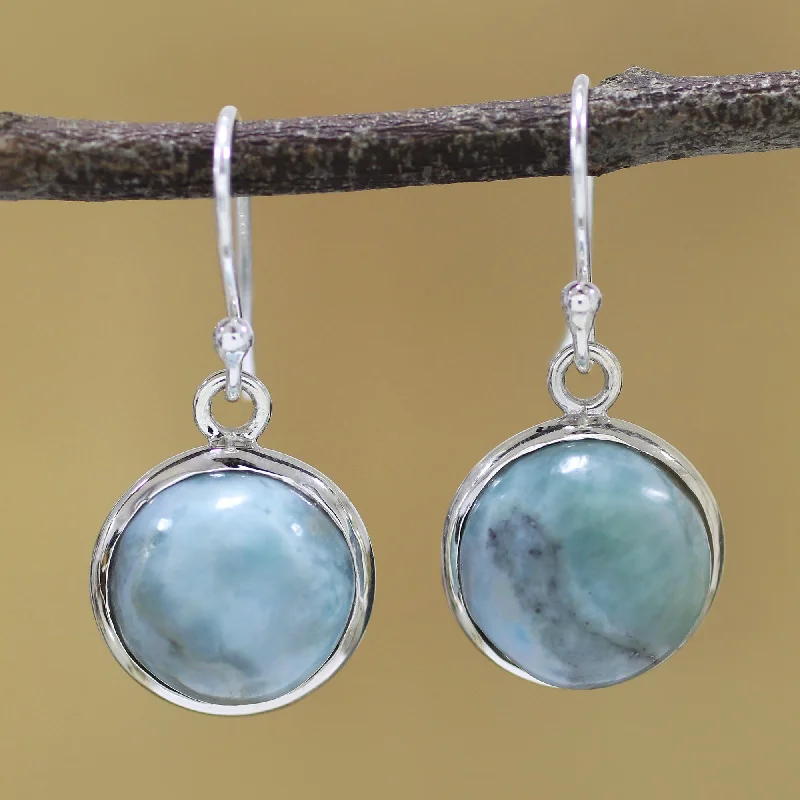 - Winter dog thick down jacketNeptune Sterling Silver and Larimar Dangle Earrings from India