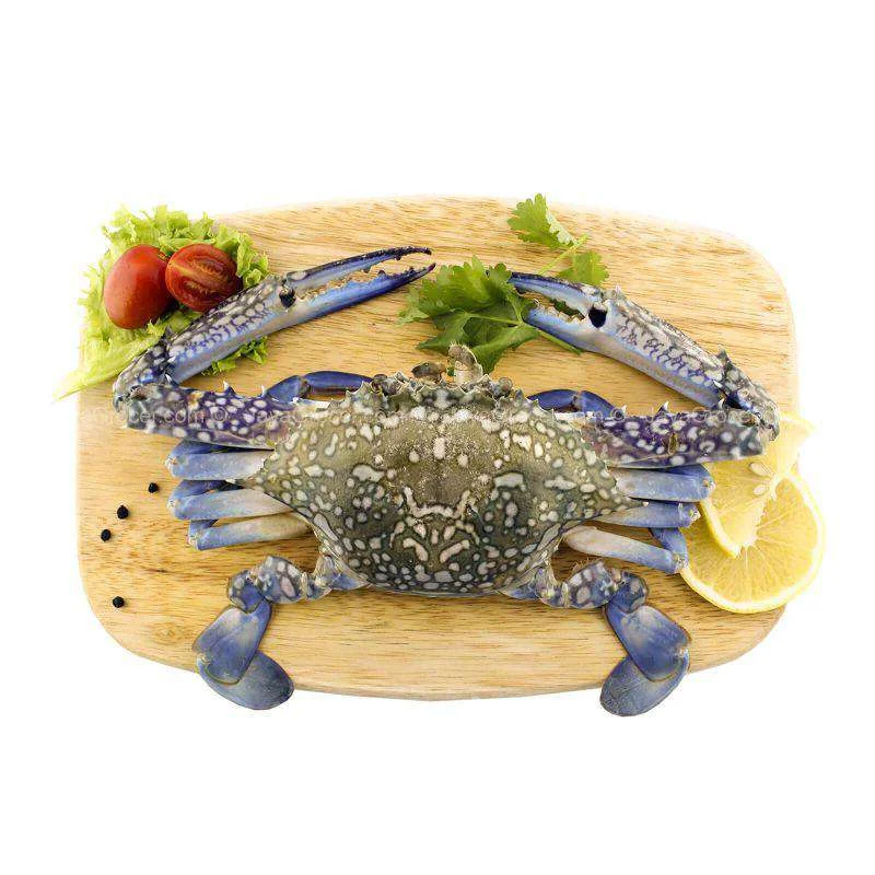 - Remote interactive pet feederFrozen Flower Crab (Ketam Bunga) 500g