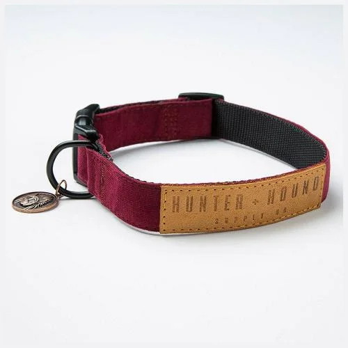 - Elderly dog ​​joint care mattressHunter & Hound Gypsy Dog Collar