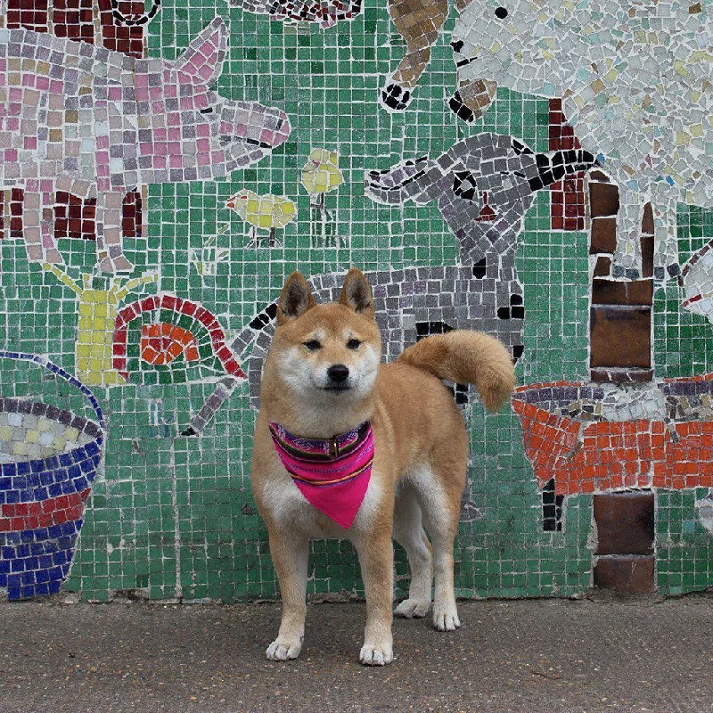 - Pet stroller can be taken on the planeHiro + Wolf Inca Pink Bandana