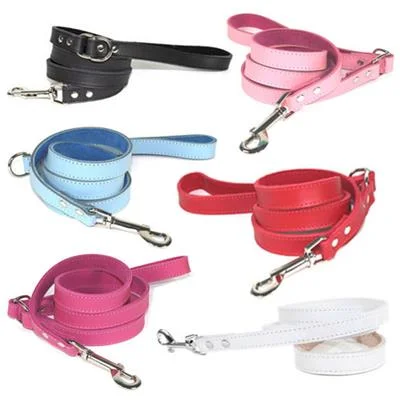 - Pet smart GPS locatorDOGUE Plain Jane Leather Dog Lead