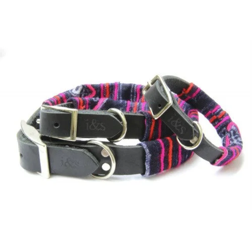 - Custom pet birthday cakeIke & Stella Dog Collar - Fuschia / Indigo