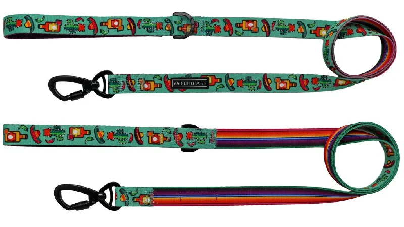 - Winter dog thick down jacketBig & Little Dogs Dog Leash - Mexican Fiesta