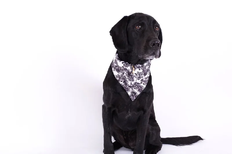 - Organic cotton dog bibsMog and Bone Black Tropical Leaves Bandana