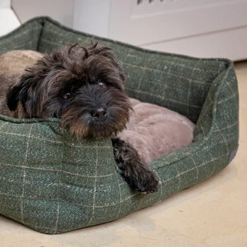  -Anti-scratch scratching board AND cat bed in oneMoss tweed green rectangle bed